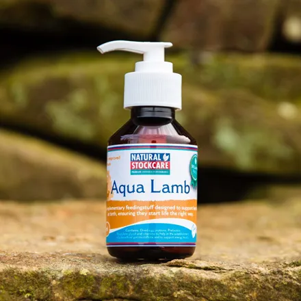 Aqua Lamb 250ml