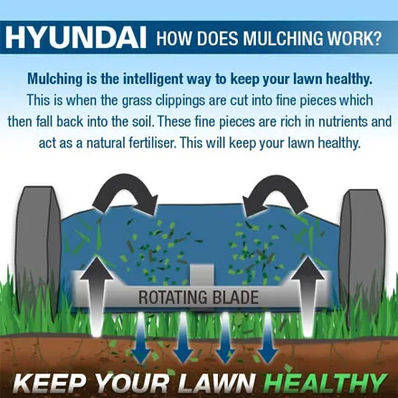 Hyundai HYM430SP Lawnmower