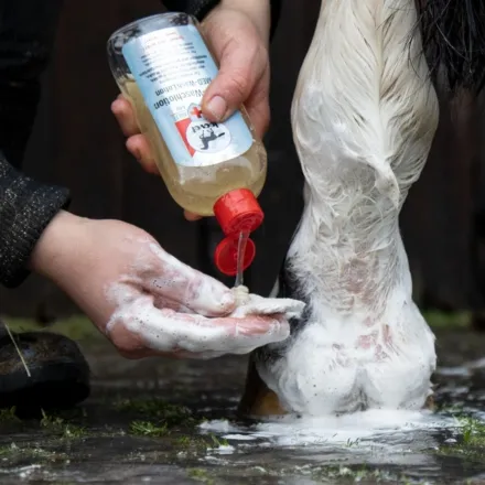 Leovet Med Wash 250ml