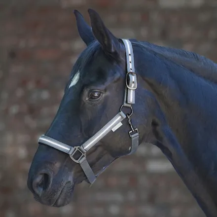 REFLEX Stripe Halter - Cob