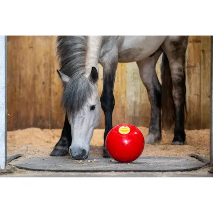 Likit Snak-a-Ball
