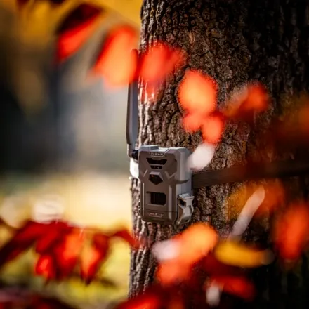 Spypoint Flex-M Wireless Trail Camera Twin Pack