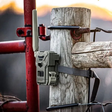 Spypoint Flex-M Wireless Trail Camera Twin Pack