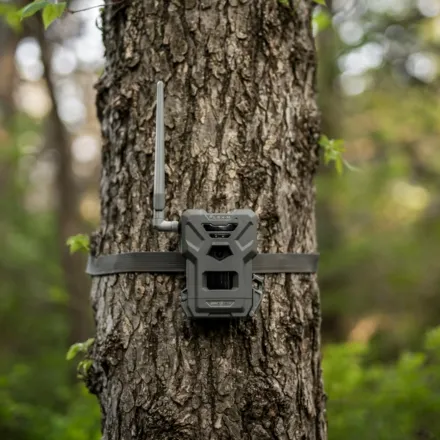 Spypoint Flex-M Wireless Trail Camera Twin Pack
